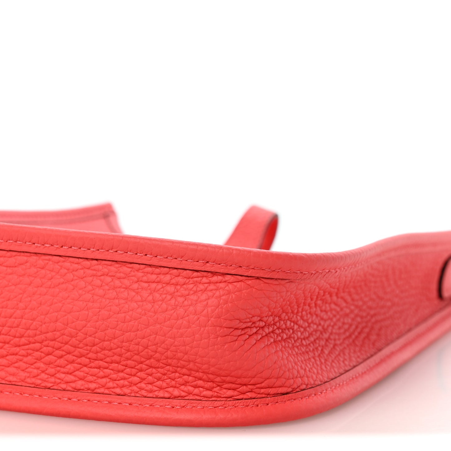 Taurillon Clemence Evelyne TPM Rose Texas Rose Jaipur