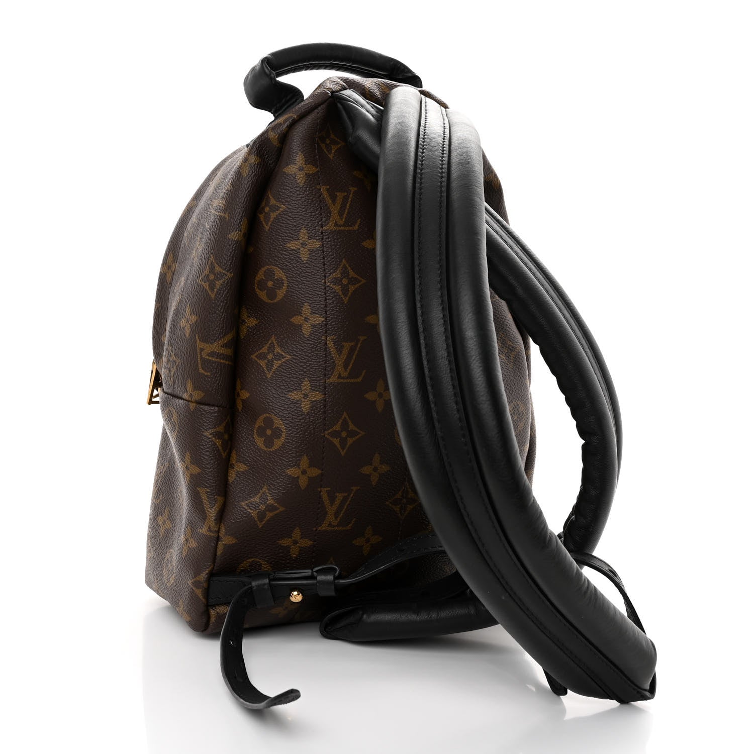 Louis Vuitton Monogram Palm Springs Backpack PM 3 of 14