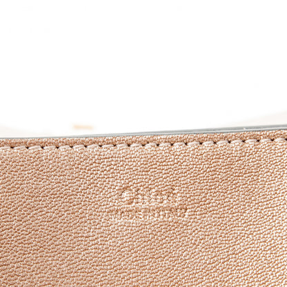 Chloe Metallic Goatskin Mini Drew Shoulder Bag Abstract Gold 6 of 7