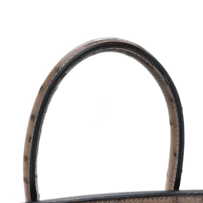Hermes Ostrich Birkin 30 Mousse 20 of 20