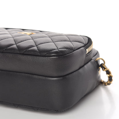 Chanel Calfskin Quilted Day Trips Camera Case Black 9 of 10