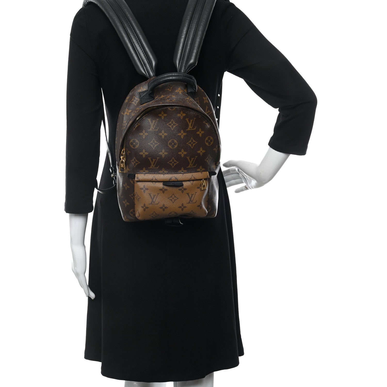 Louis Vuitton Reverse Monogram Palm Springs Backpack PM 2 of 13