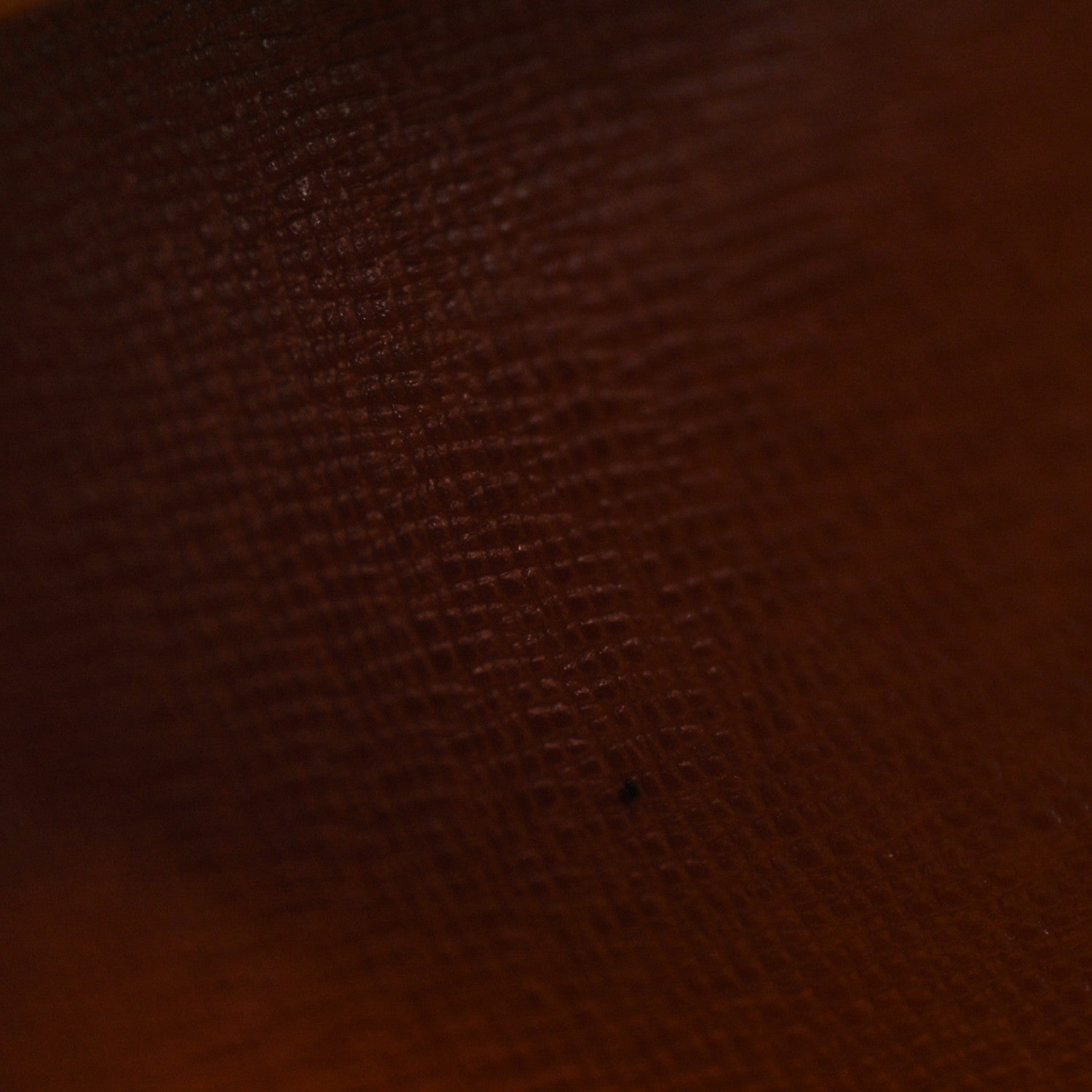 Louis Vuitton Monogram Blois 10 of 13