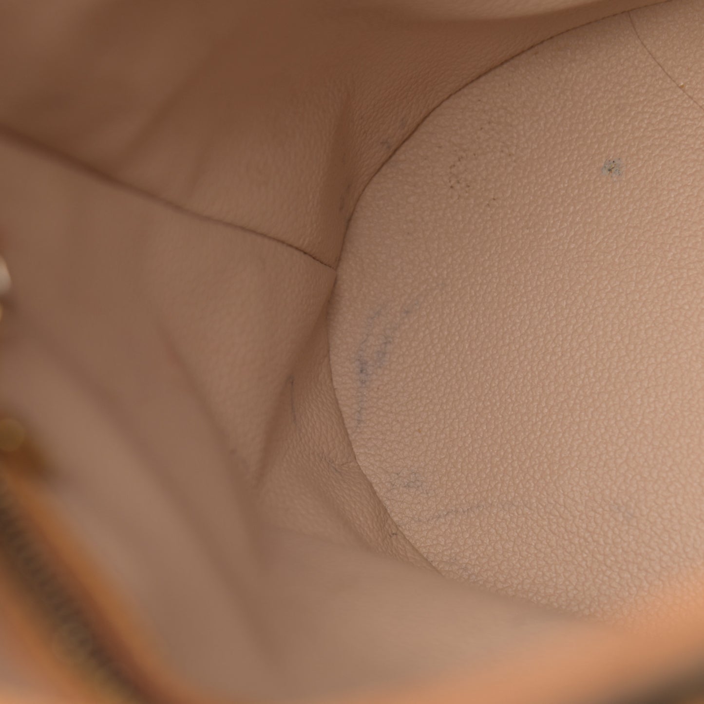 Monogram Petit Bucket 23