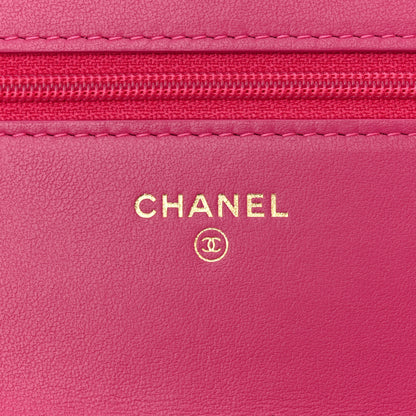 Chanel Tweed Quilted Wallet On Chain WOC Pink Blue White 6 of 12