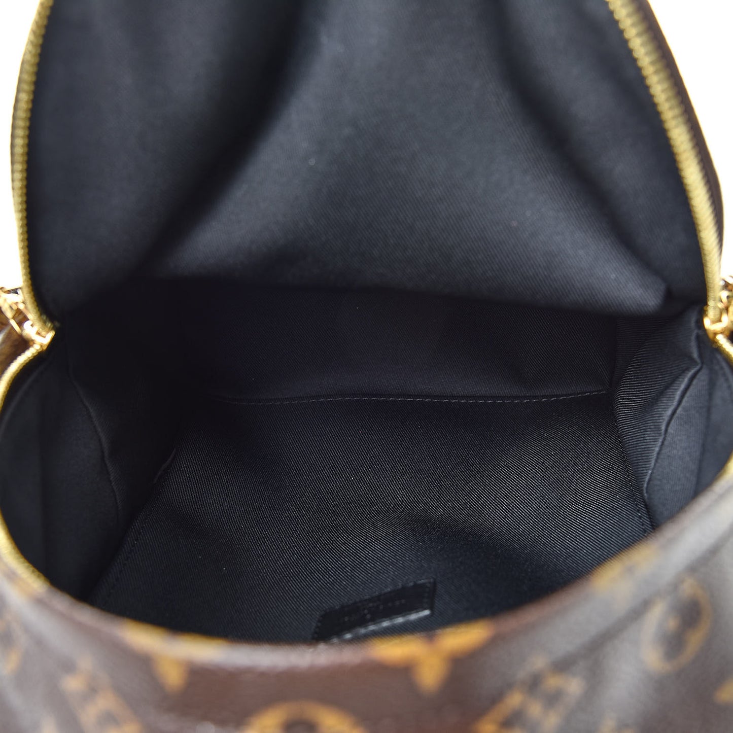 Monogram Palm Springs Backpack PM