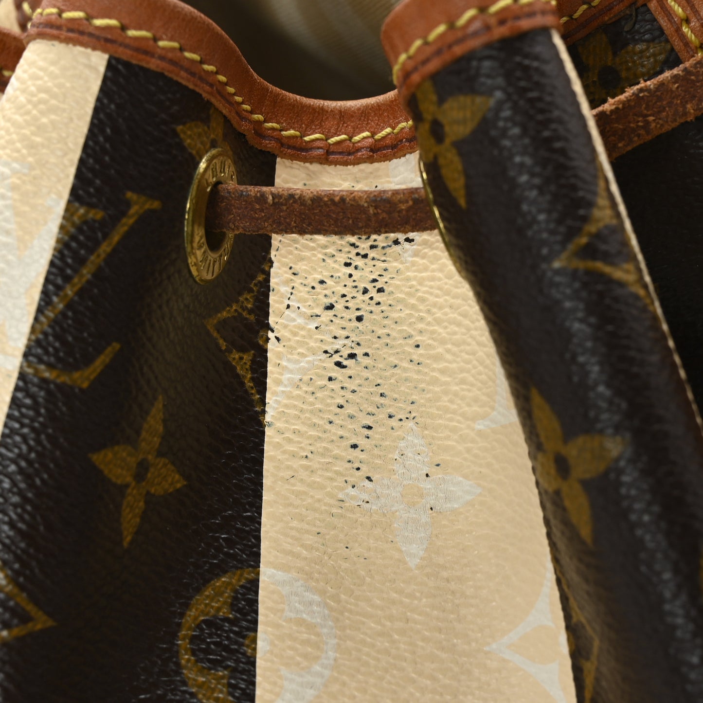 Monogram Rayures Petit Noe