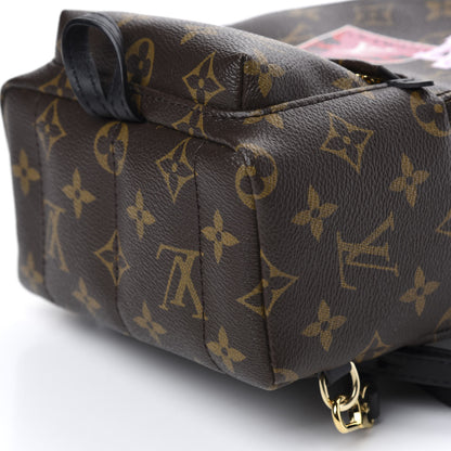 Louis Vuitton Monogram My World Tour Palm Springs Backpack Mini 6 of 10