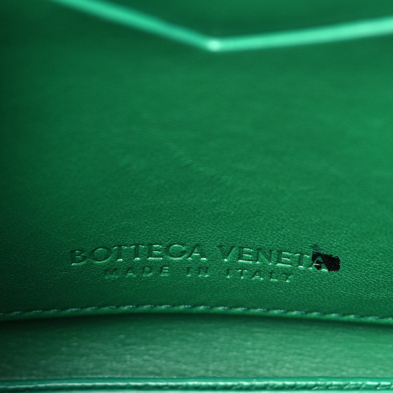 Bottega Veneta Calfskin Mount Envelope Bag Jungle 6 of 8