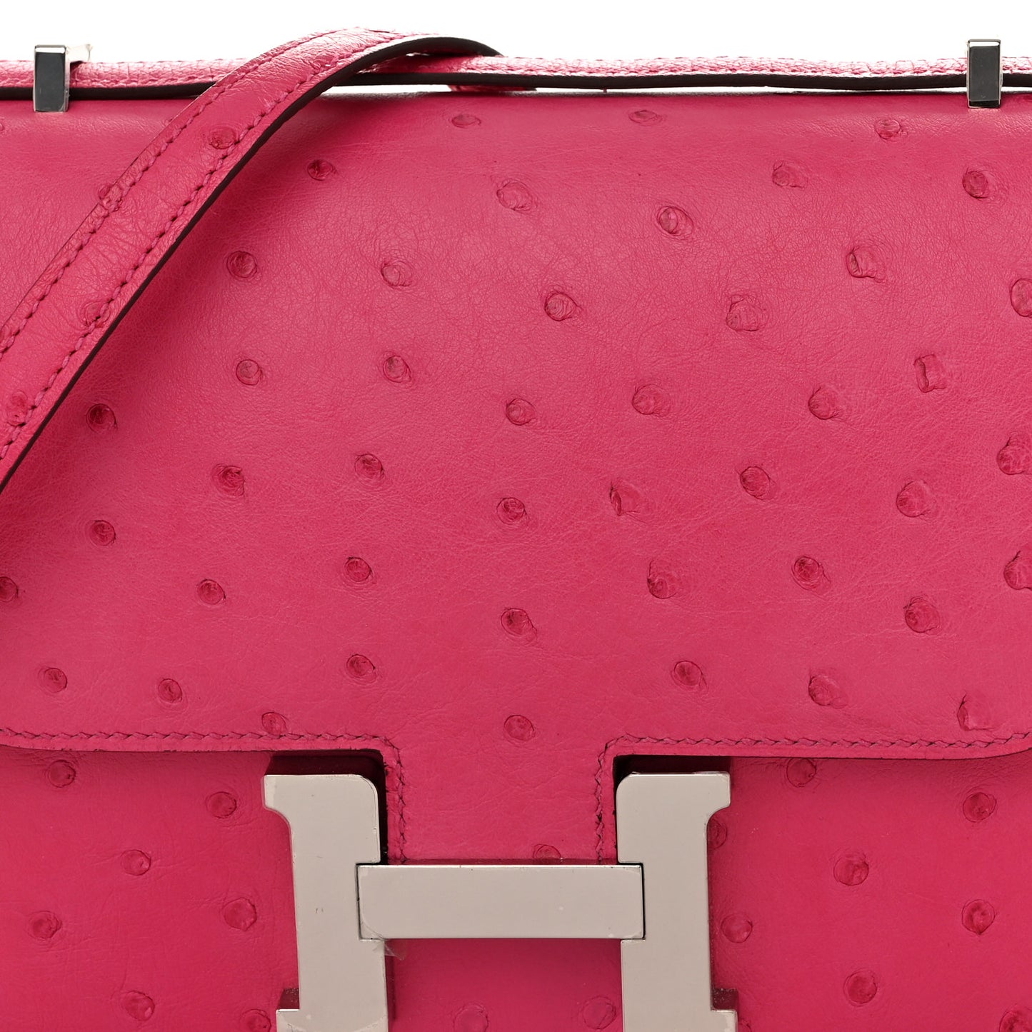 Ostrich Constance 18 Rose Pourpre
