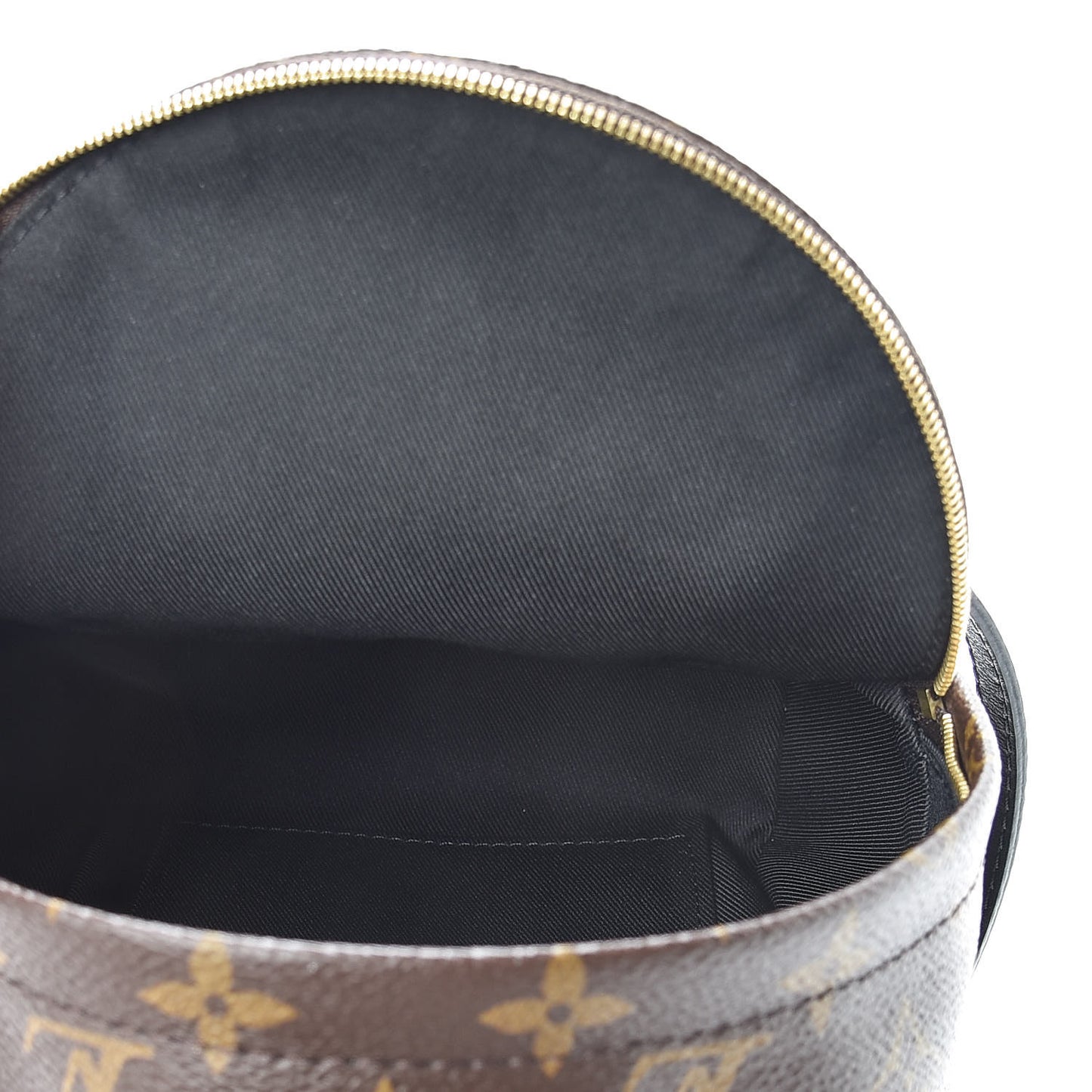Monogram Palm Springs Backpack Mini