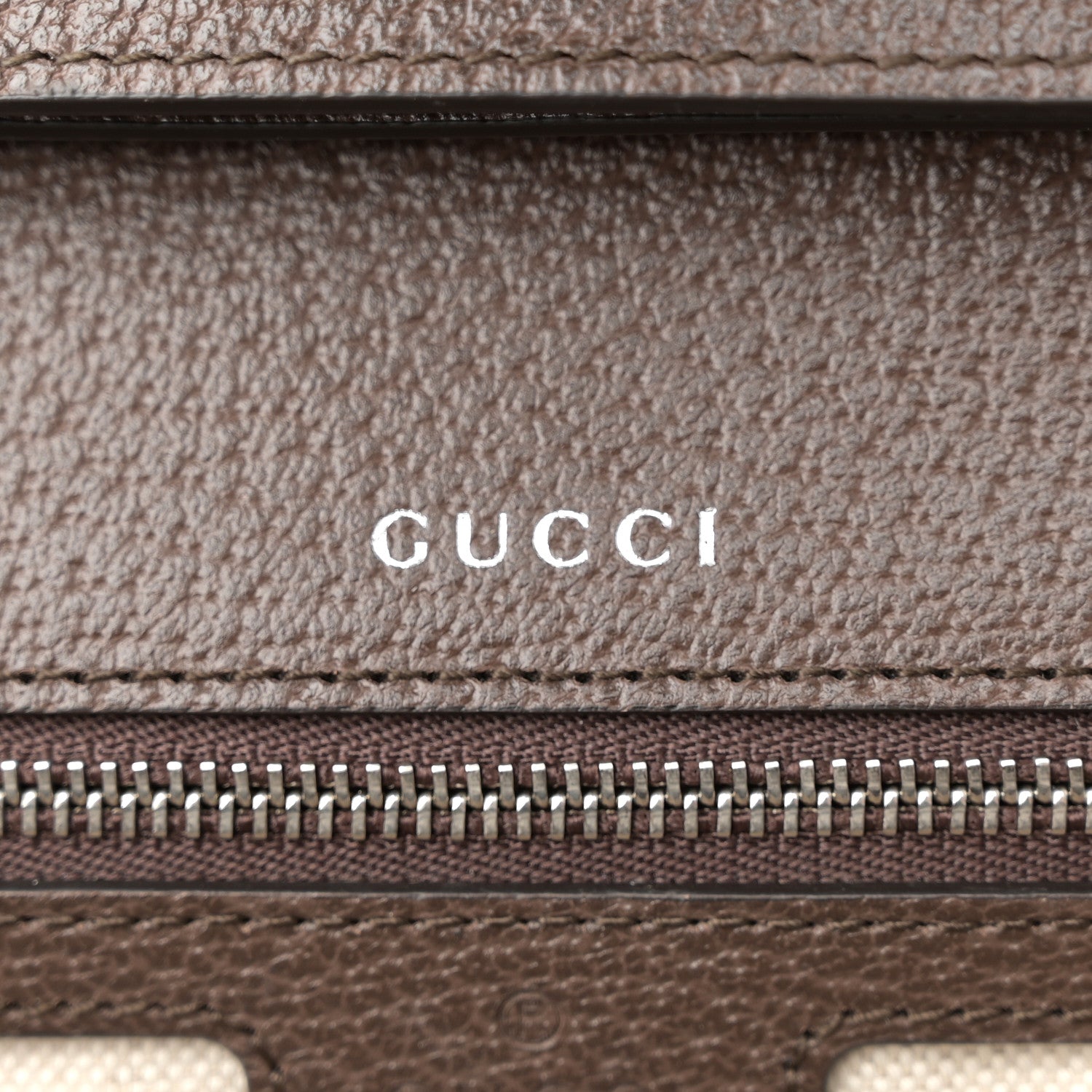 Gucci GG Supreme Web Monogram Textured Dollar Calfskin Dionysus Small Shoulder Bag Beige Ebony New Acero 6 of 16