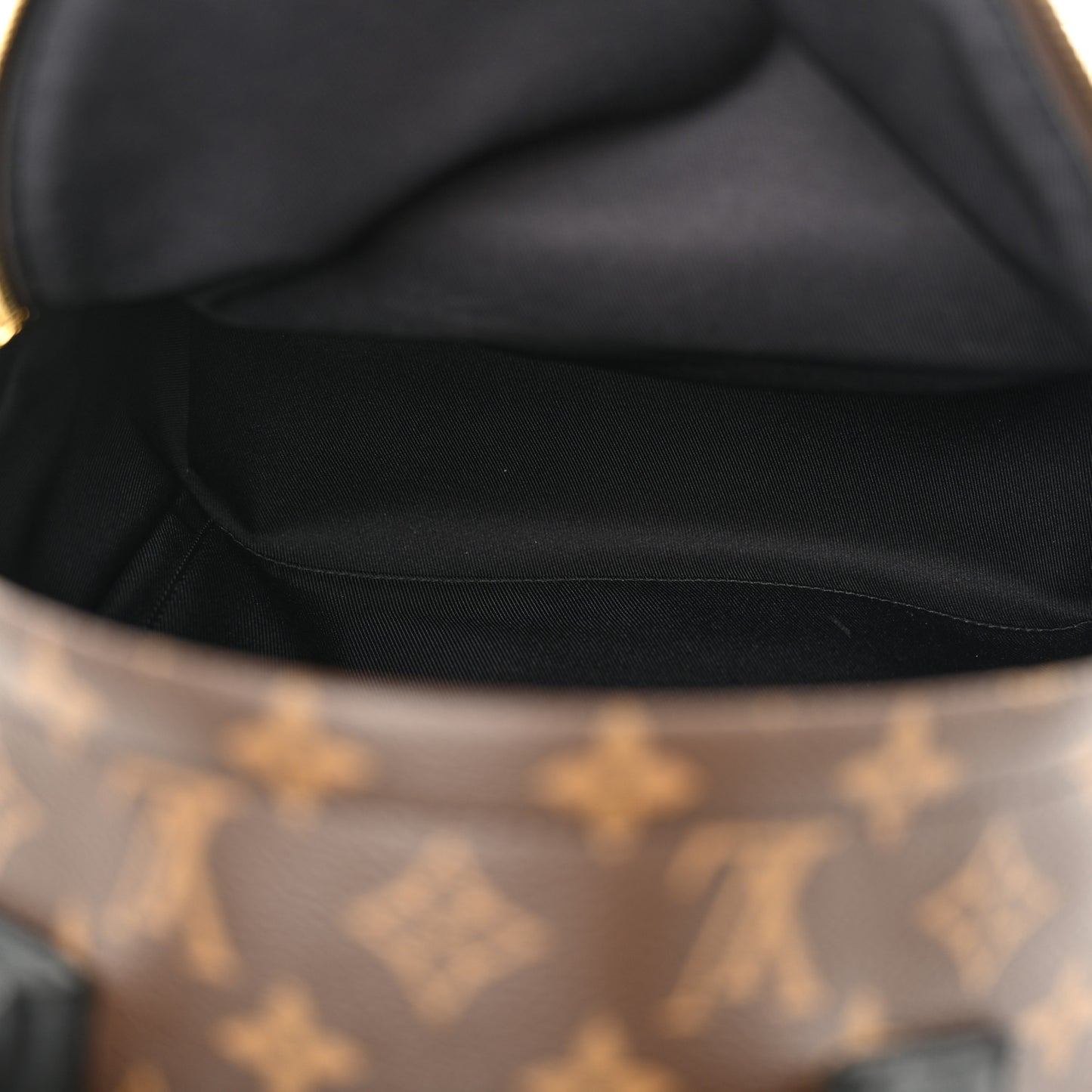 Monogram Palm Springs Backpack MM