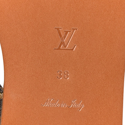 Louis Vuitton Monogram Sunny Flat Thong Sandals 38 Brown 6 of 8