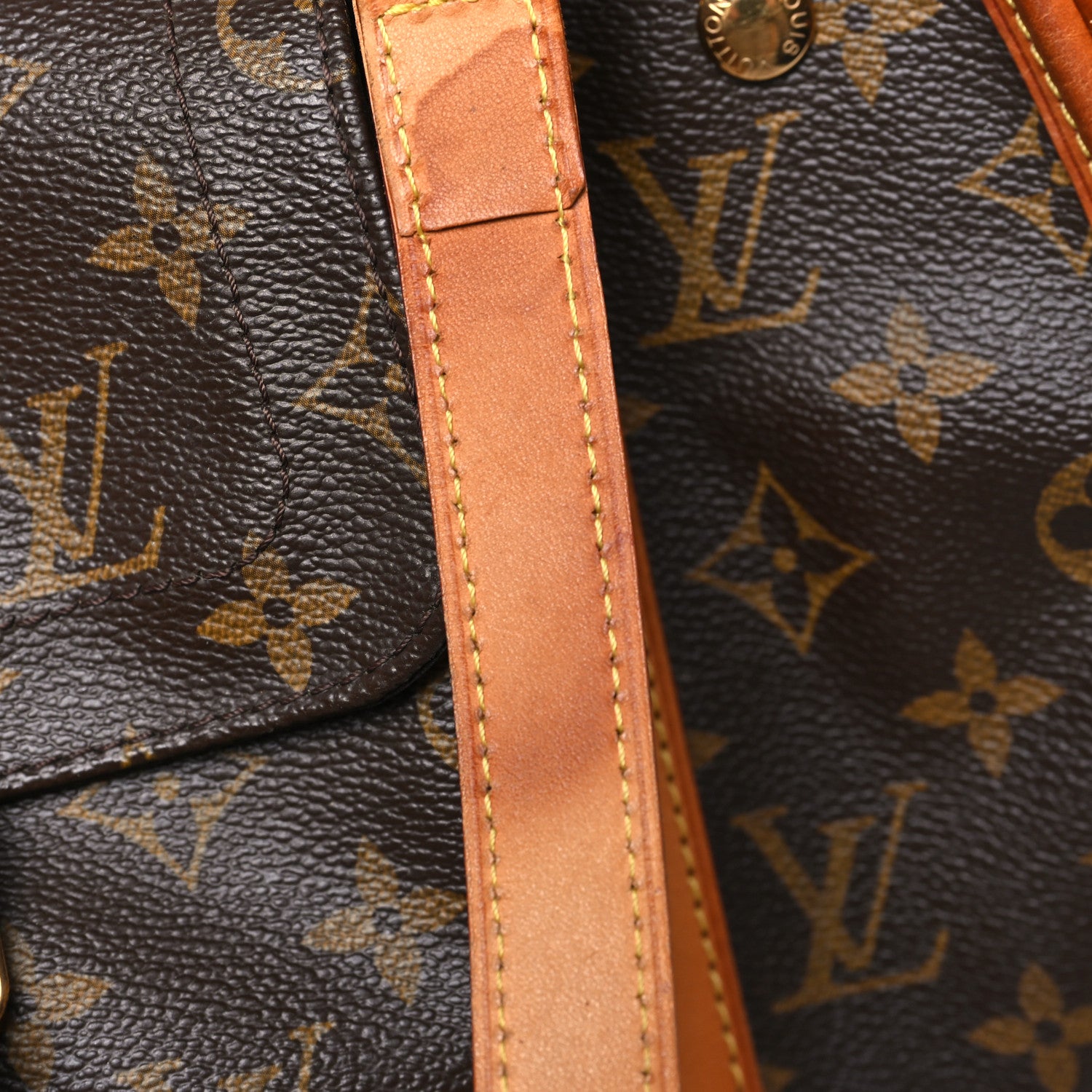 Louis Vuitton Monogram Sac Baxter PM Dog Pet Carrier 13 of 14