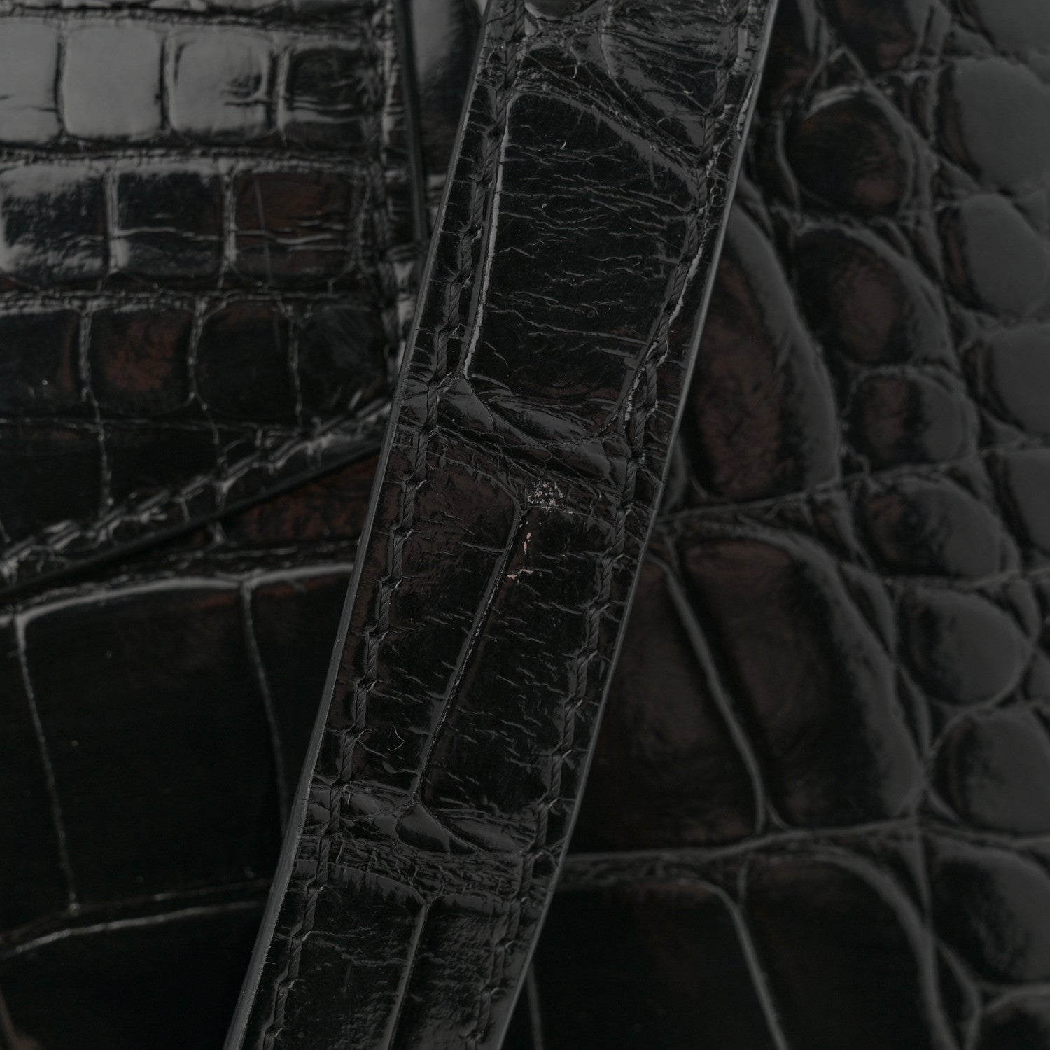 Louis Vuitton Brilliant Alligator Capucines PM Black 11 of 13