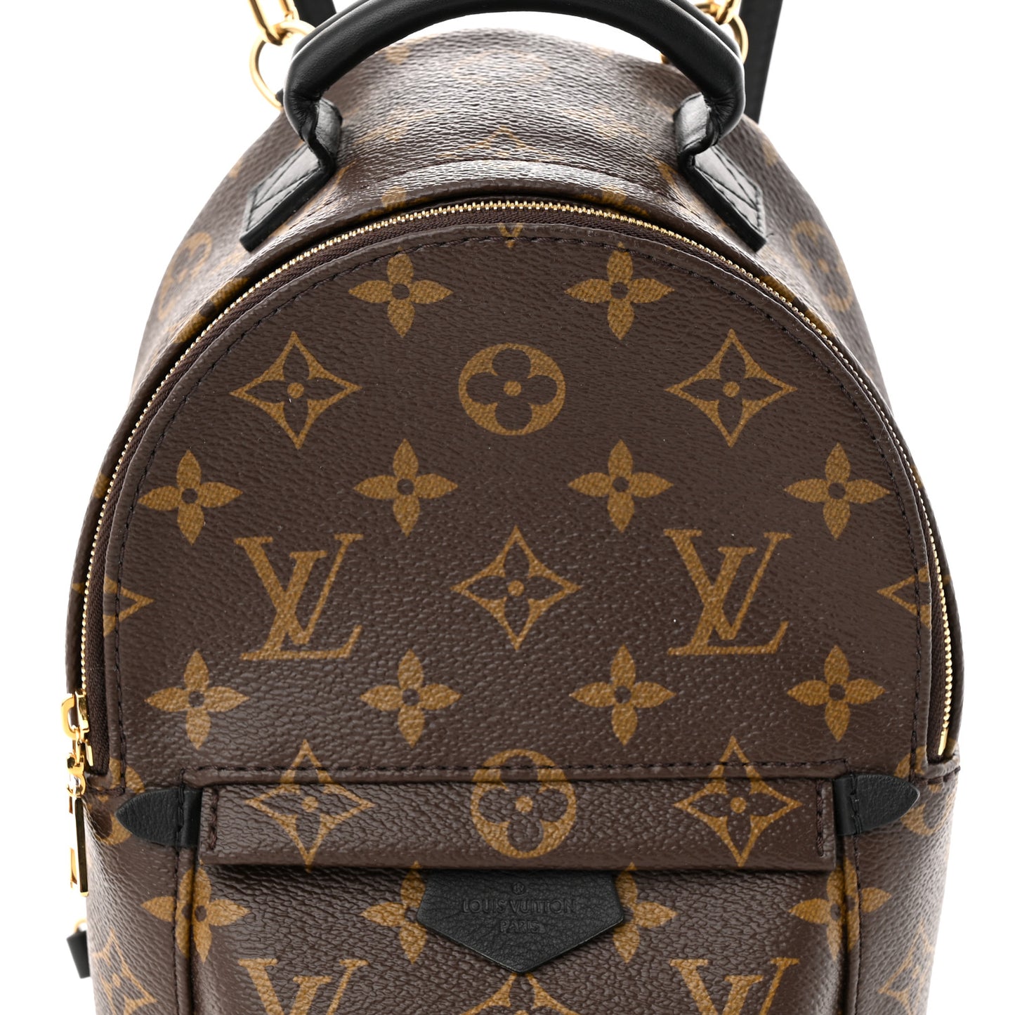 Monogram Palm Springs Backpack Mini