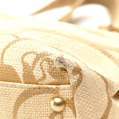 Chanel Canvas Camellia Printed Shoulder Bag Beige Grey 9 of 11