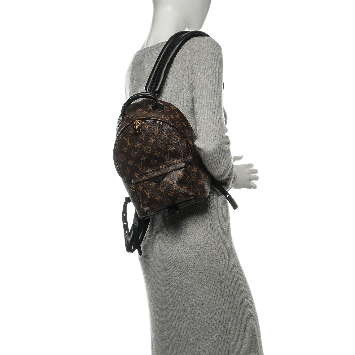 Louis Vuitton Monogram Palm Springs Backpack PM 2 of 6