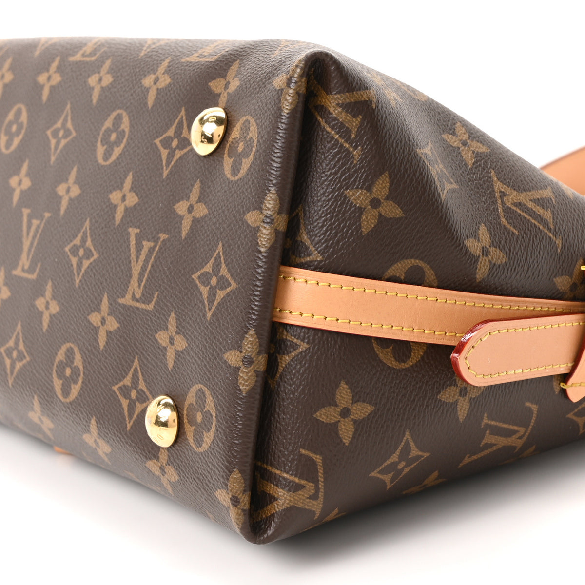 Monogram CarryAll PM