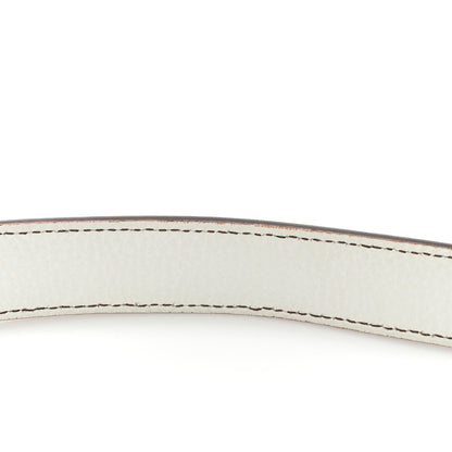 Christian Dior Calfskin Double Saddle Bag White 20 of 20