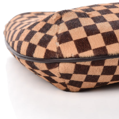 Louis Vuitton Calf Hair Damier Sauvage Tigre 7 of 8