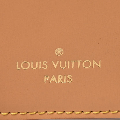 Louis Vuitton Calfskin Catogram Micro Boite Chapeau Marron White 7 of 11