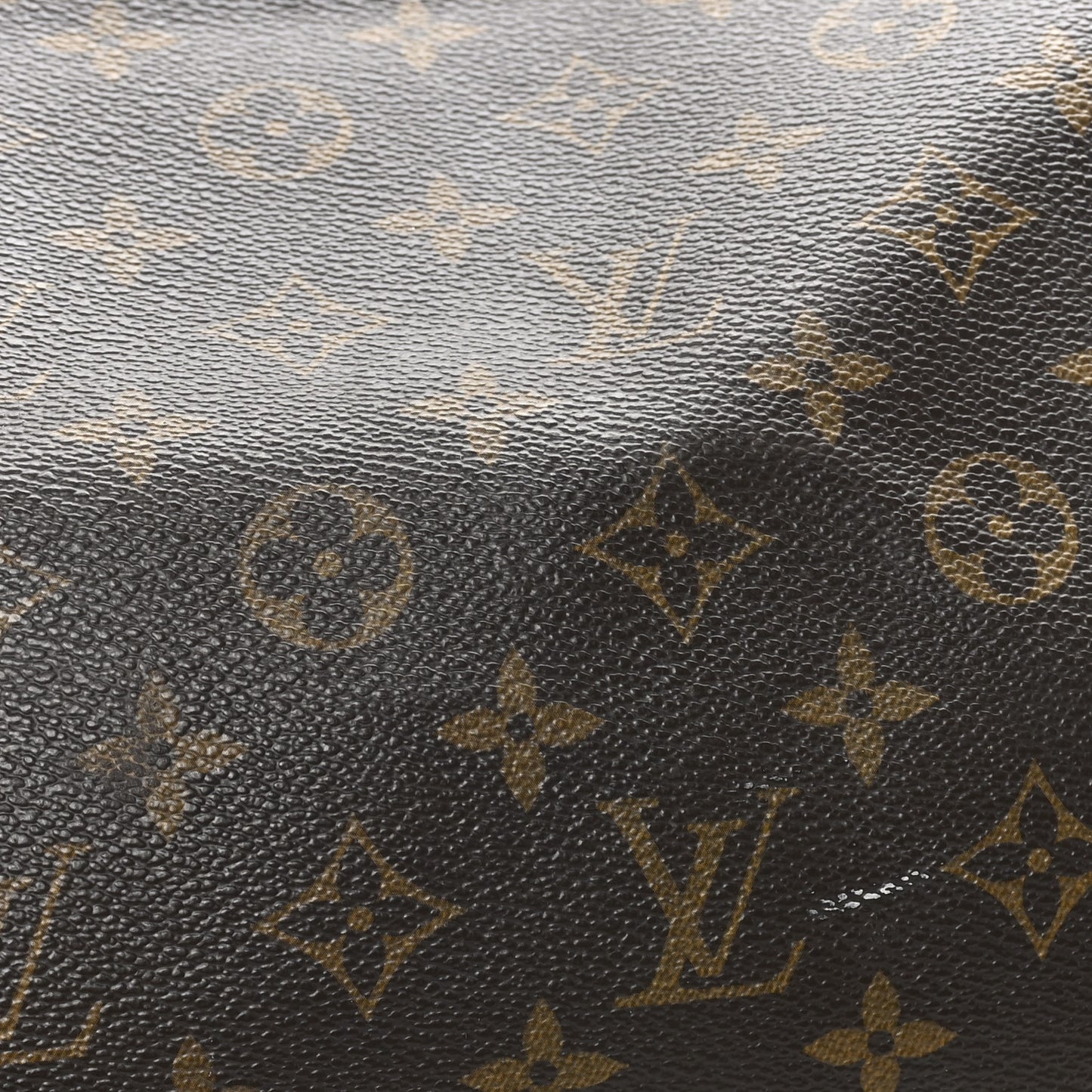 Monogram Speedy 30
