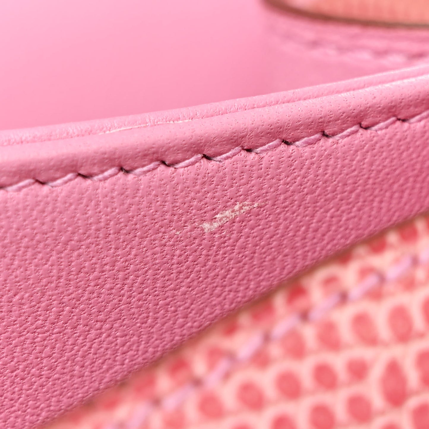 Lizard Constance Elan 25 5P Pink