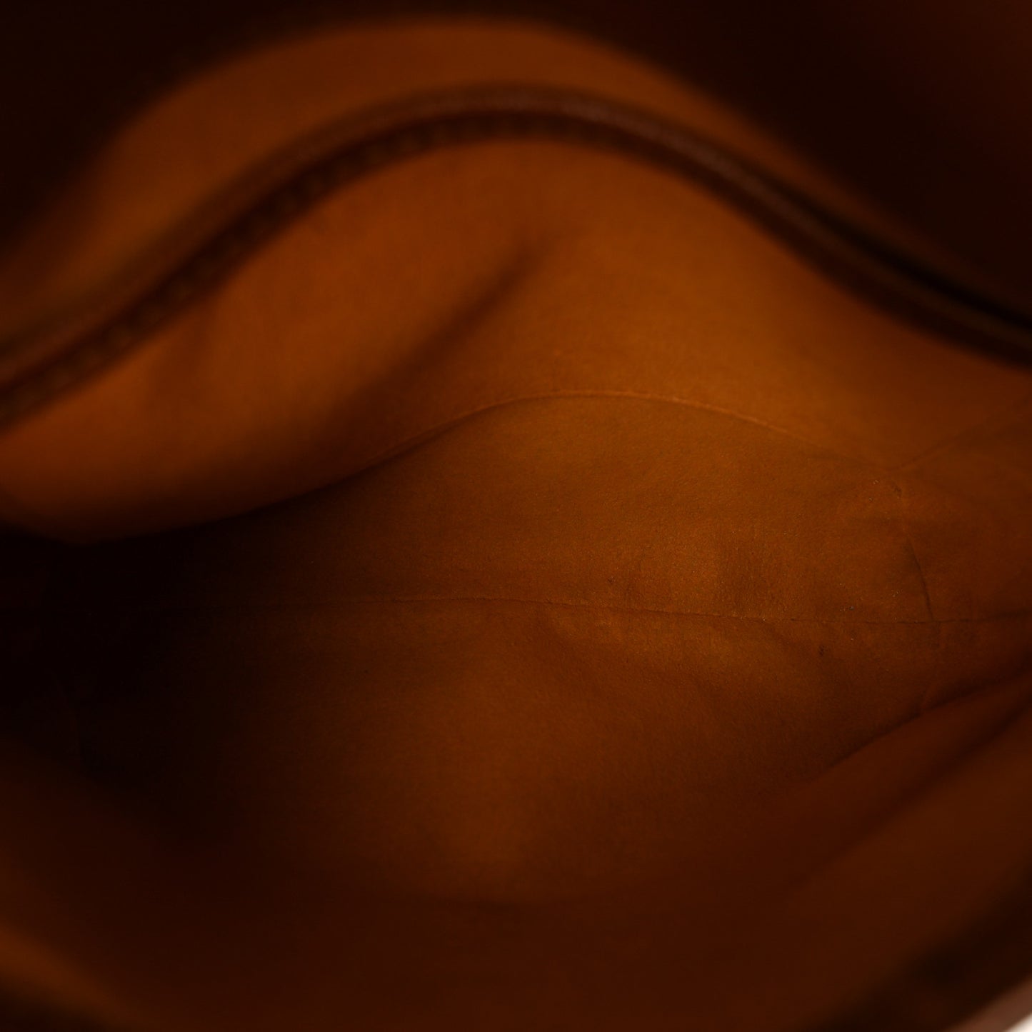 Monogram Musette Salsa