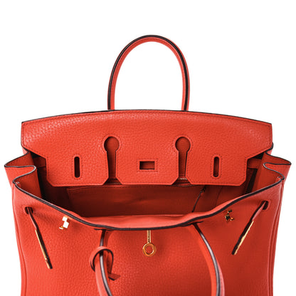 Hermes Taurillon Clemence Birkin 25 Feu 18 of 34
