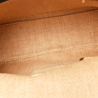 Christian Dior Raffia Woven Cannage Embroidered Medium Lady D-Lite Natural Black 5 of 9