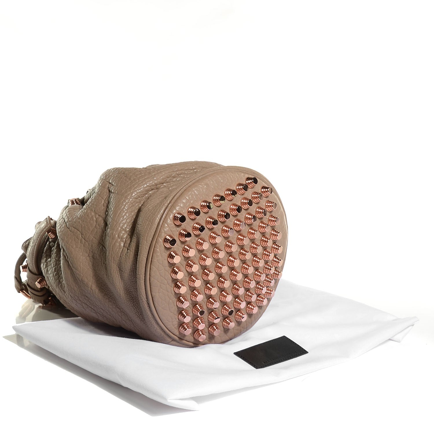 Alexander Wang Pebbled Lambskin Diego Bucket Latte Rose Gold Hardware 4 of 9