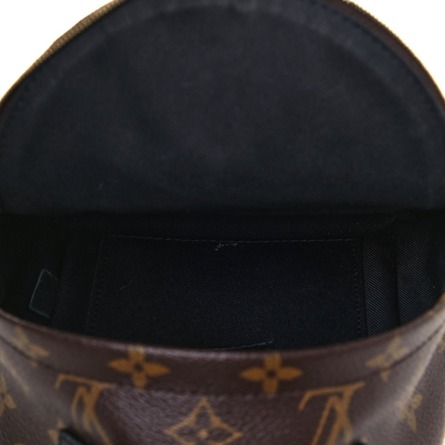 Monogram Palm Springs Backpack Mini