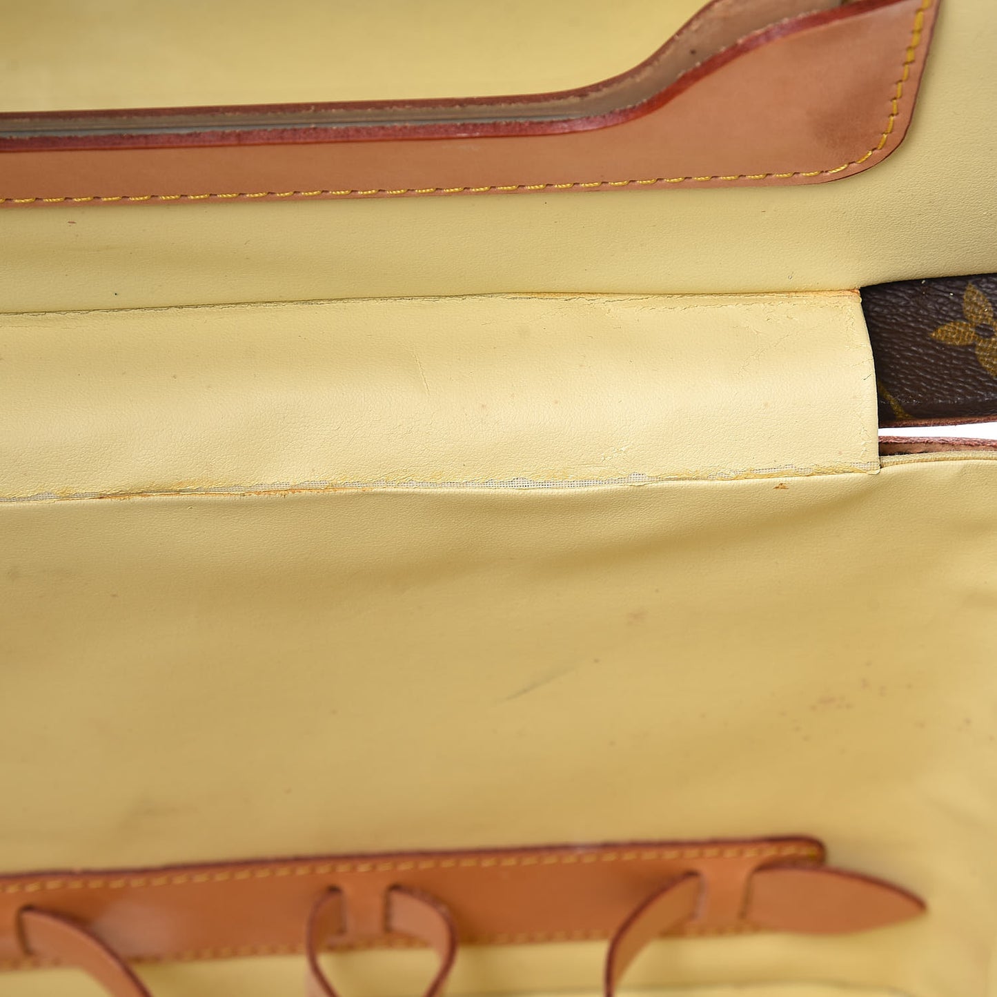 Monogram Train Case