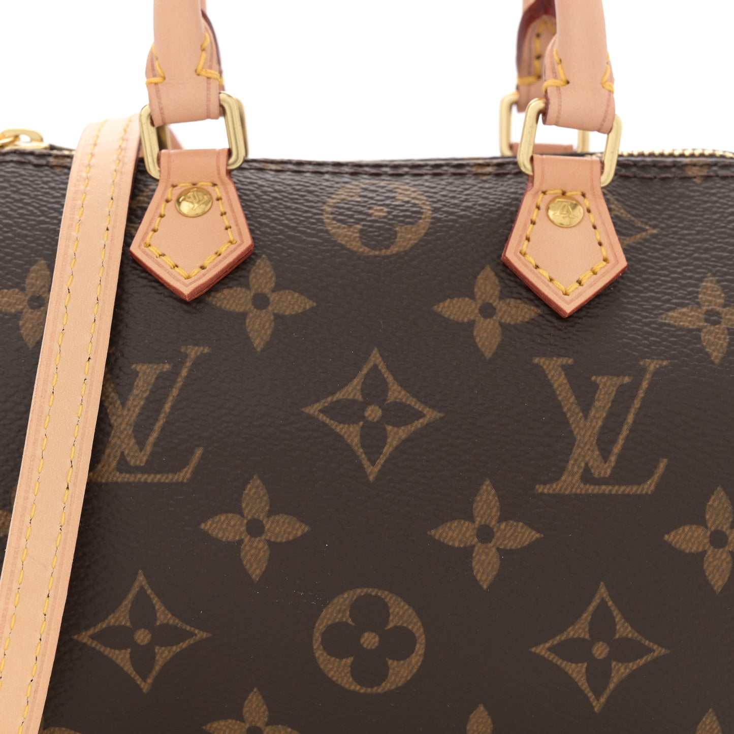 Monogram Nano Speedy