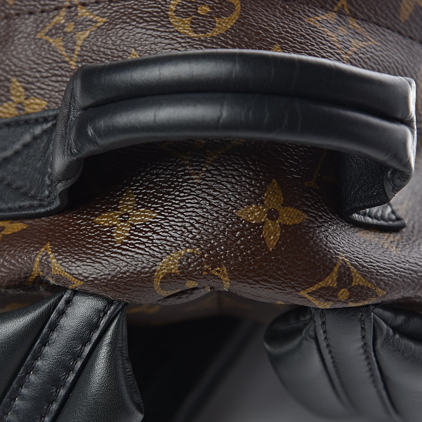 Monogram Palm Springs Backpack PM
