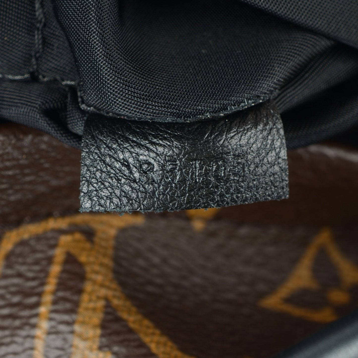 Monogram Palm Springs Backpack Mini