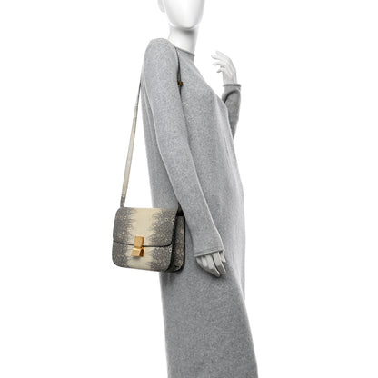 Celine Lizard Medium Classic Box Flap Bag Natural 2 of 12