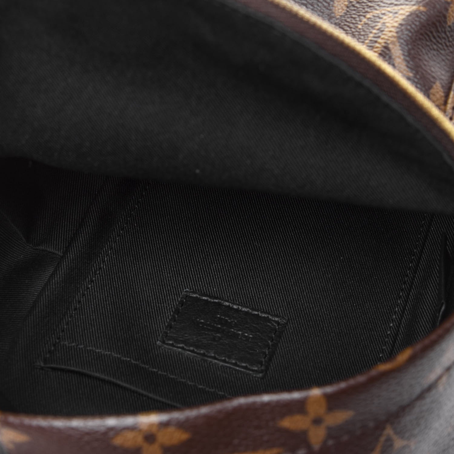 Louis Vuitton Monogram Palm Springs Backpack Mini 5 of 6