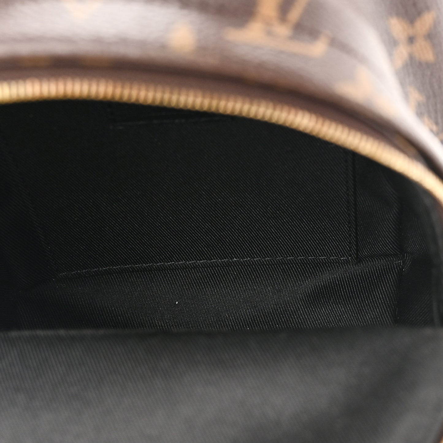 Monogram Palm Springs Backpack Mini