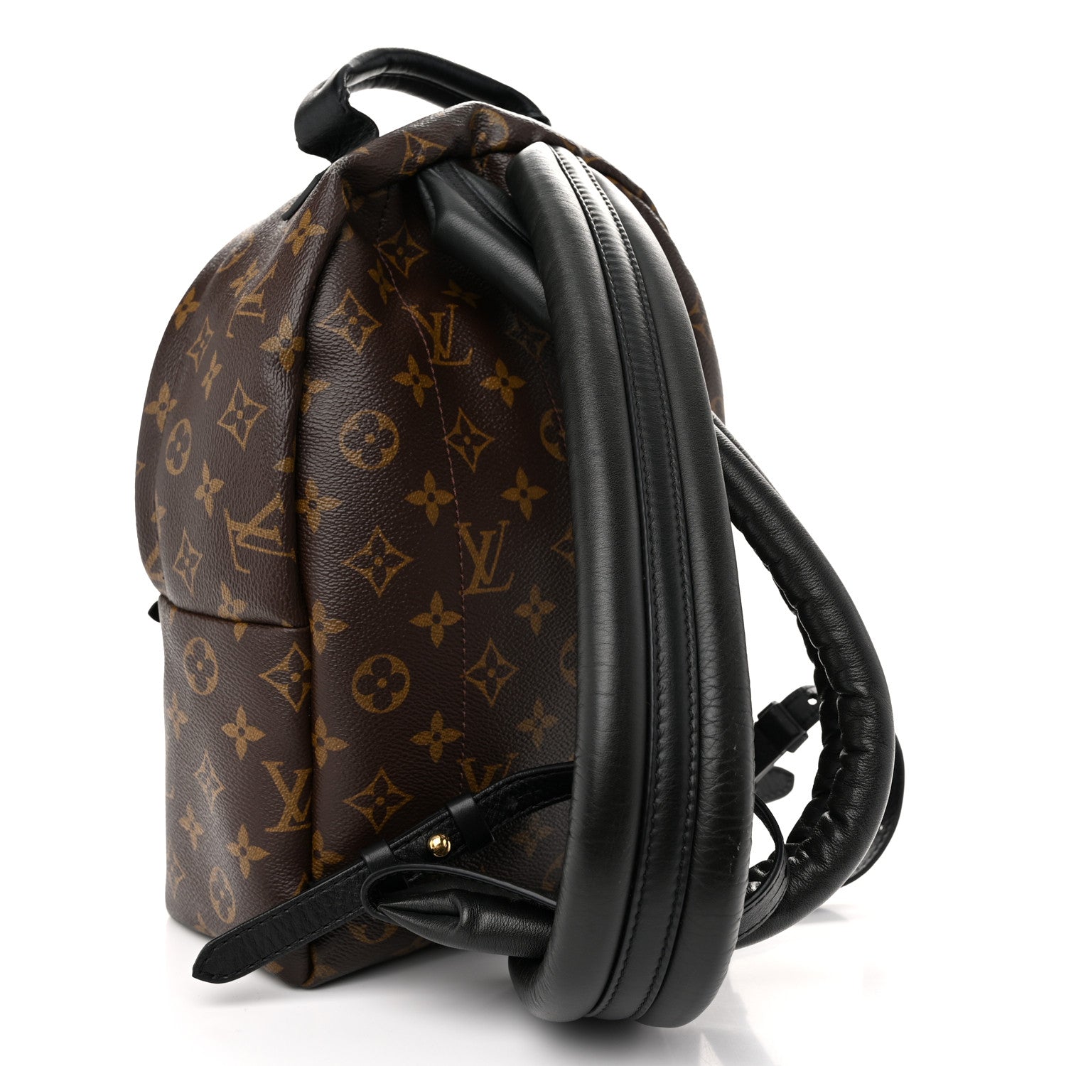 Louis Vuitton Monogram Palm Springs Backpack PM 3 of 9