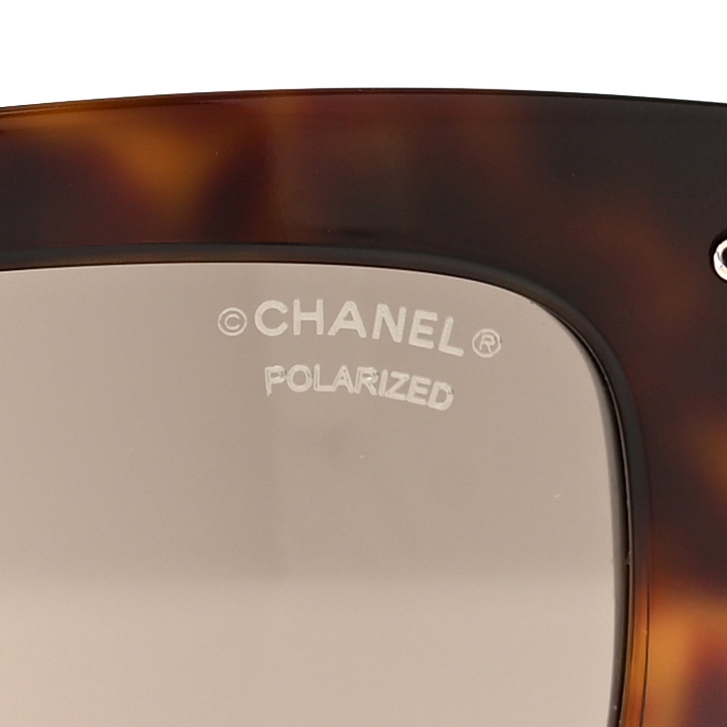 Acetate Square Sunglasses 5509-A Tortoise