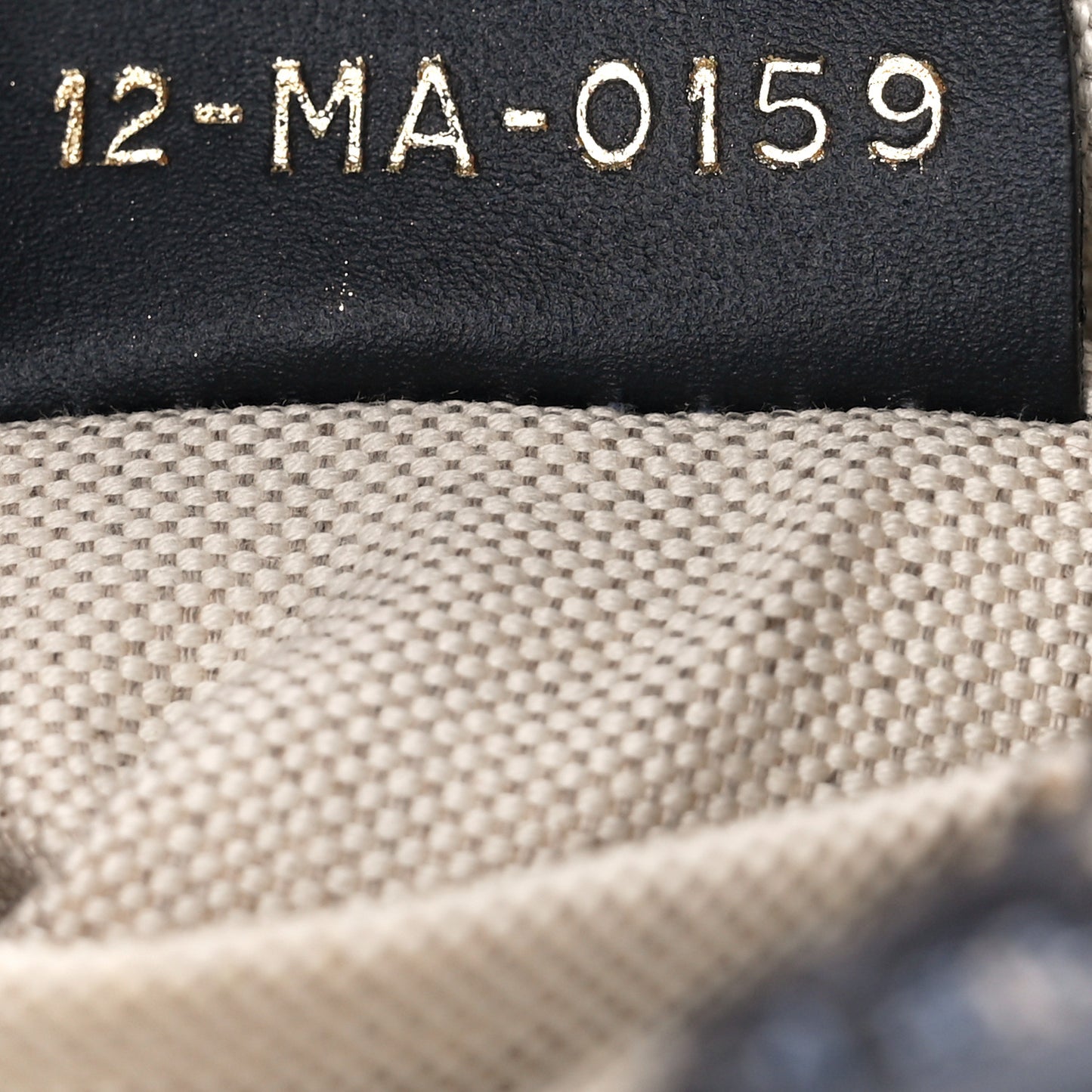 Oblique Diorquake Clutch Blue