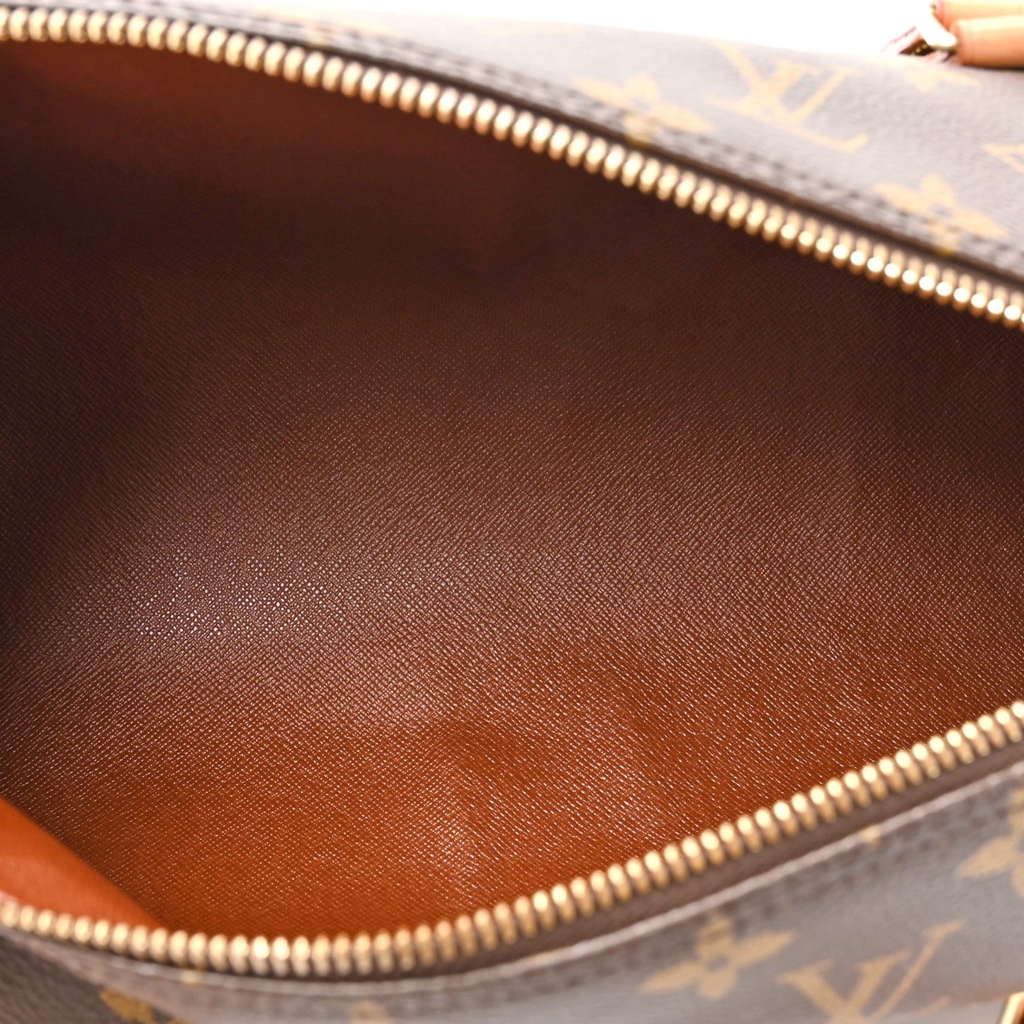 Monogram Papillon 30 with Companion