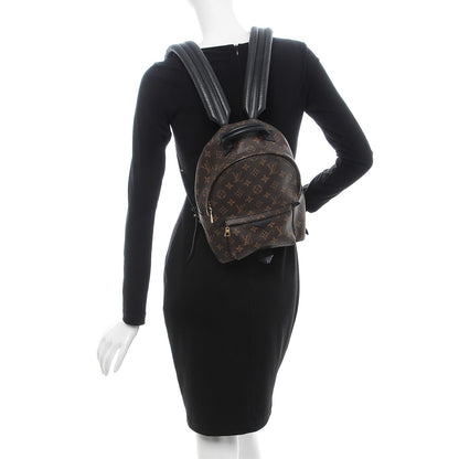 Louis Vuitton Monogram Palm Springs Backpack PM 2 of 9