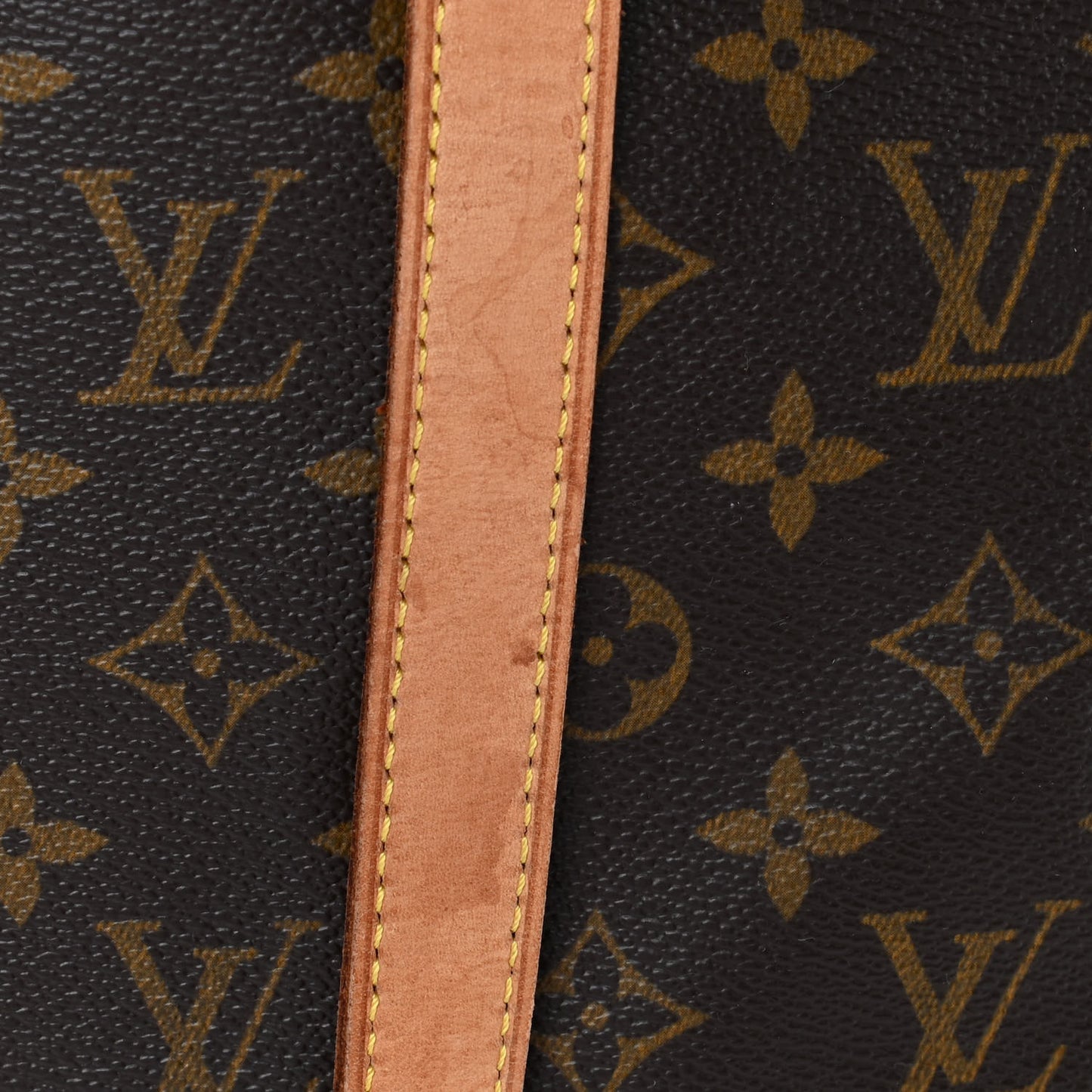 Monogram Cabas Mezzo