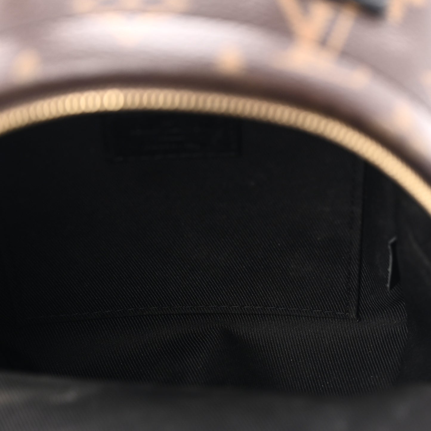 Monogram Palm Springs Backpack Mini