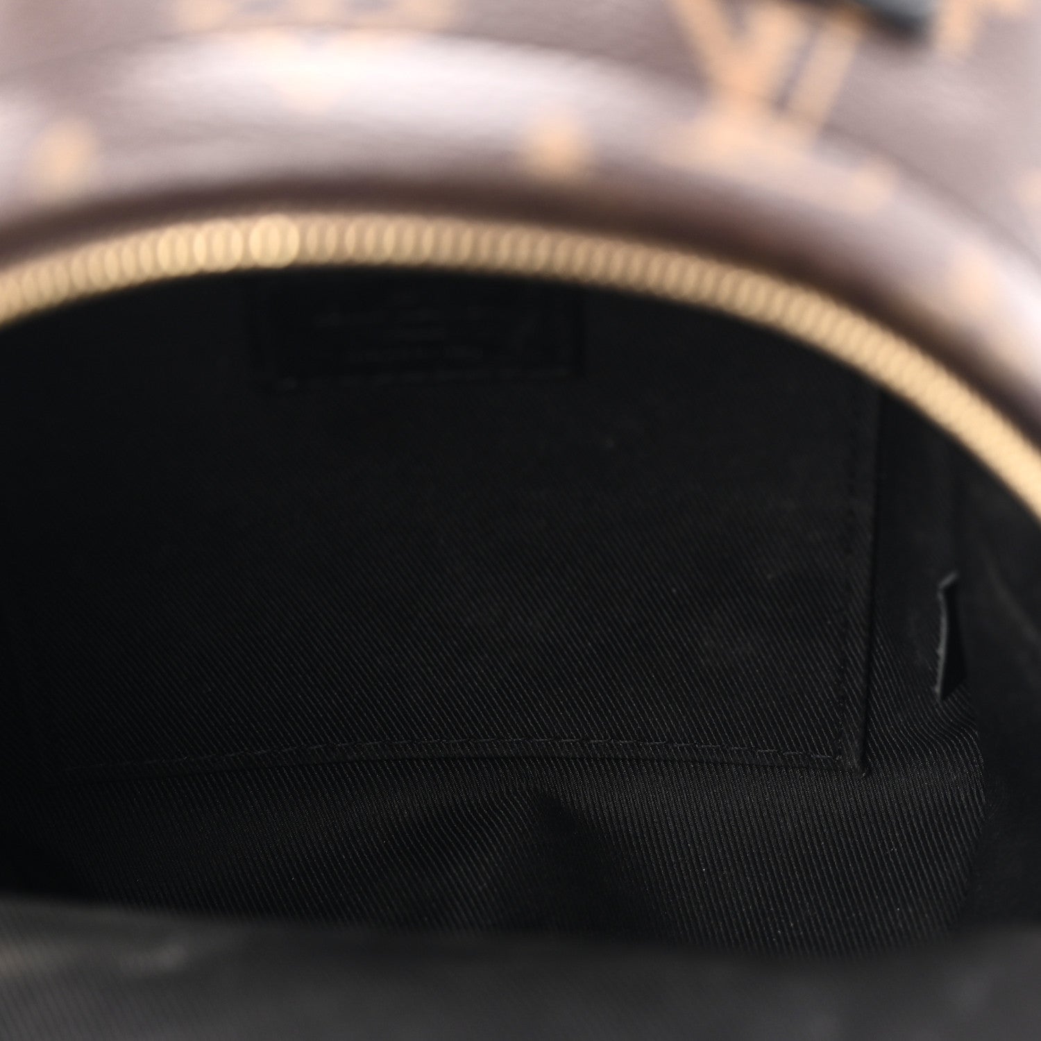 Louis Vuitton Monogram Palm Springs Backpack Mini 5 of 12