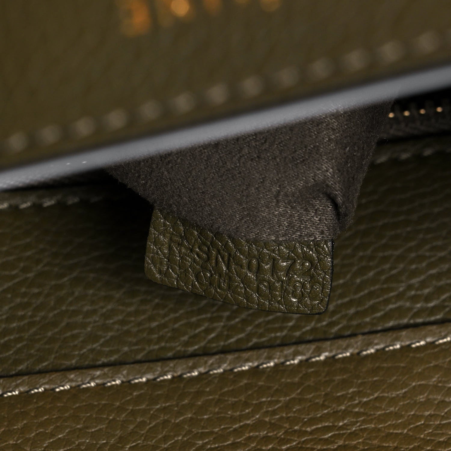 Celine Drummed Calfskin Mini Luggage Jungle 5 of 11